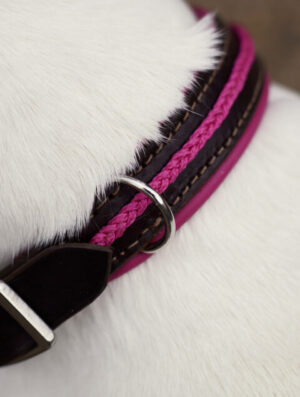 Collier Nevez : confort, élégance et robustesse pour le bonheur de votre chien