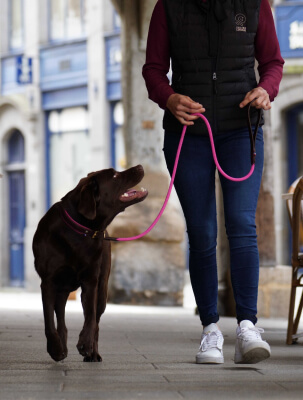 Laisse en cuir et corde modèle Glaz pour promener votre chien en ville comme dans la nature