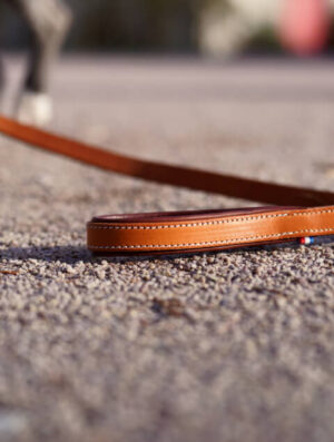 Laisse en cuir pour chien made in France