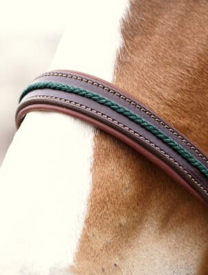 Le licol Nevez offre une tâtière et une muserolle doublées en cuir souple pour le confort de votre cheval