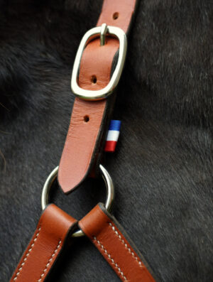 Licol en cuir de qualité made in France dans mon atelier dans les Côtes d'Armor