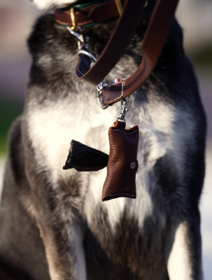 Accessoire en cuir pratique et résistant pour laisse de chien