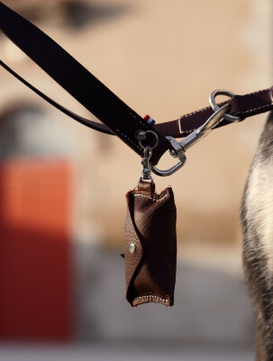 Étui de sac à déjection en cuir discret et élégant à accrocher à la laisse du chien