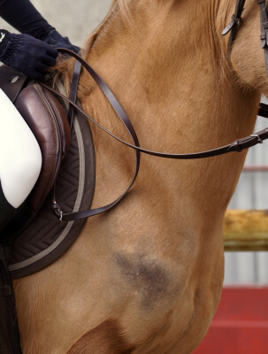Rênes en cuir lisse confortables et résistantes pour vos sorties à cheval ou la compétition