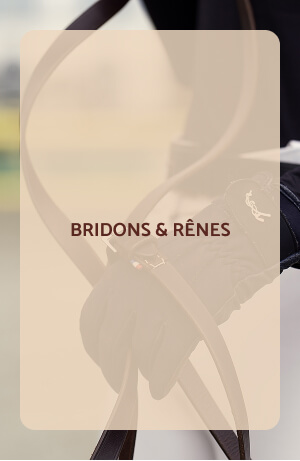 Bridons et rênes