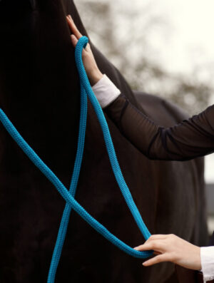 Longe Glaz en cuir et corde colorée