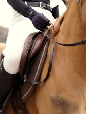 Paire de rênes classiques en cuir