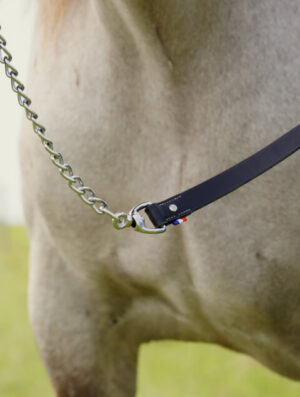 Longe de présentation en cuir