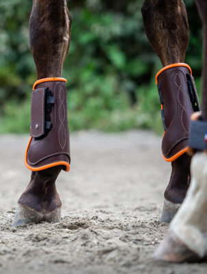 Équipement sur-mesure pour le cheval