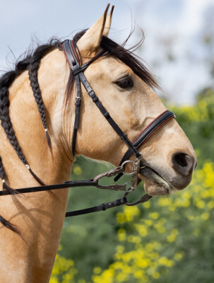 la création sur-mesure car chaque cheval est unique